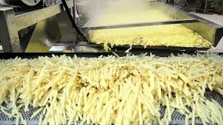 Awesome Automatic Potato Processing and French Fries Making Machines in Food Factory