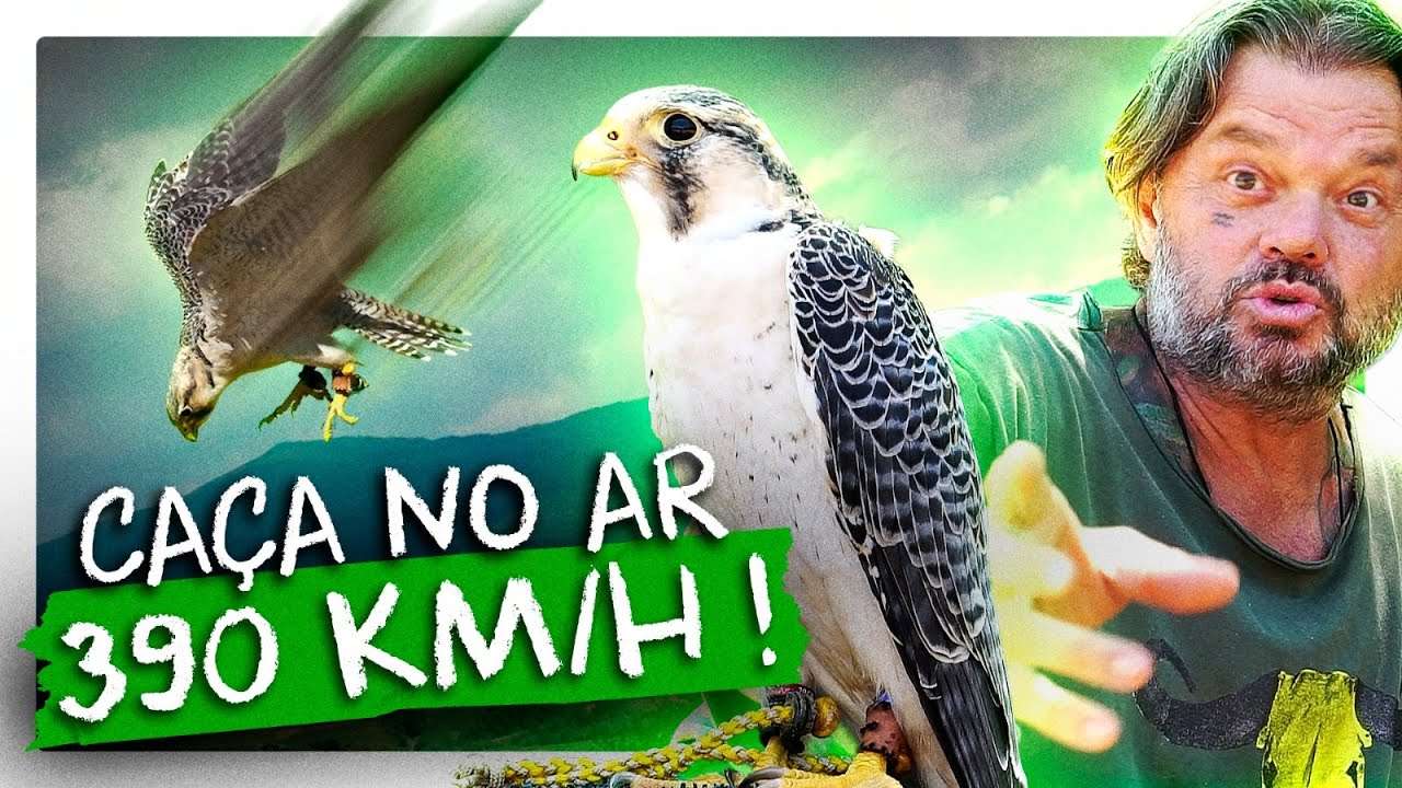 O ANIMAL MAIS RÁPIDO DO MUNDO! | RICHARD RASMUSSEN - YouTube