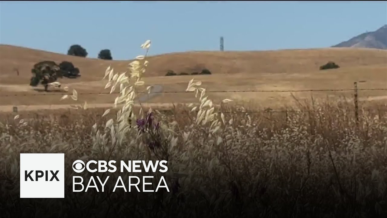 Dry and windy conditions bring increased wildfire risk to the Bay Area ...