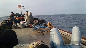 GAMBUS ENDE FLORES
