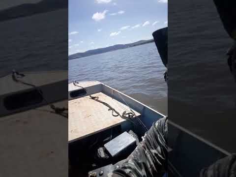 Pesca de Tucunare Alfenas furnas