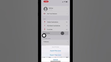 Export Your Pins & Trips #tutorials #shorts