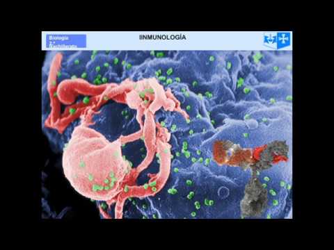 Inmunologia_Conceptos clave