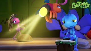 Music, Lights, ANTS ACTION | ANTIKS |Funny Cartoons For All The Family!
