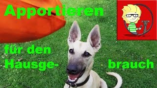 (FOLGE 18) Normales Apportieren beibringen  KleinZorro soll etwas bringen