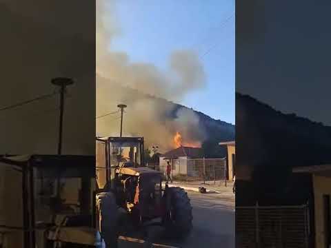 PrevezaBest - Φωτιά Στεφάνη