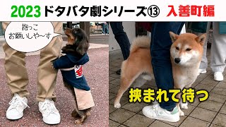 2023狂犬病予防注射会場のドタバタ劇⑬ 入善町編