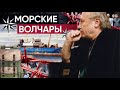 &quot;Чёрные береты&quot; - полная версия!  /На сегодняшний день более 3,5 млн просмотров!/