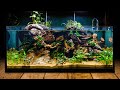 Perfecting the low tech fish tank in diy ikea aquarium