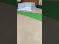 ドッグランでそわそわするハナ