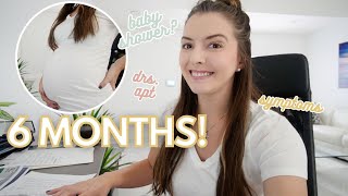 6 MONTH PREGNANCY UPDATE 👶🏼💕✨| baby measuring big, pregnancy anemia, glucose test | KAYLA BUELL