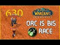 ORC is BIS Rogue RACE in Classic | PvP WoW Classic