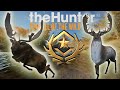 FALLOW! PART 2| The Hunter Call of the Wild