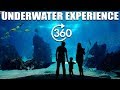 Exclusive 360° View - India's first underwater tunnel aquarium | VGP Marine Kingdom