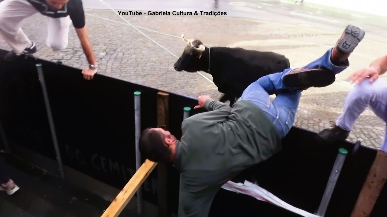 Lajes - Tourada C/Touros Ganadaria JG (10,25,4,27) - 09/10/2025 - Ilha Terceira - Açores