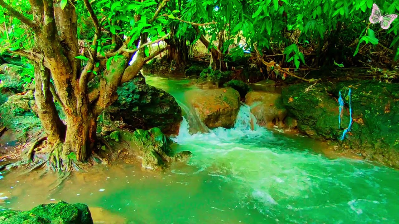 Relaxing Music For Stress Relief, Anxiety and Depressive States🌲Heal Mind, Body and Soul 67