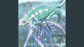 Easy Koto and Strings - Vibe for Mineral Baths