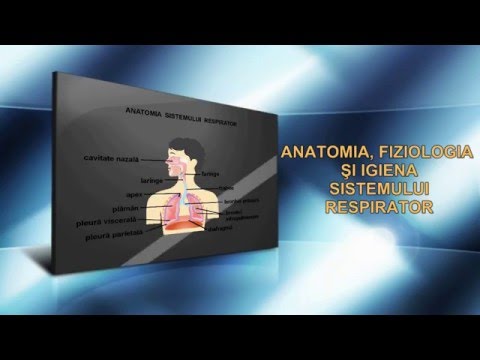 ANATOMIA, FIZIOLOGIA ȘI IGIENA SISTEMULUI RESPIRATOR