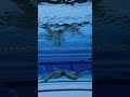 underwater dolphin kick yuuma　#バサロ #swimming #競泳
