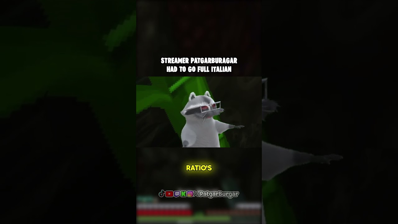 Stop Ruining Lasagna! #raccoon #patgarburgar #minecraft #streamer