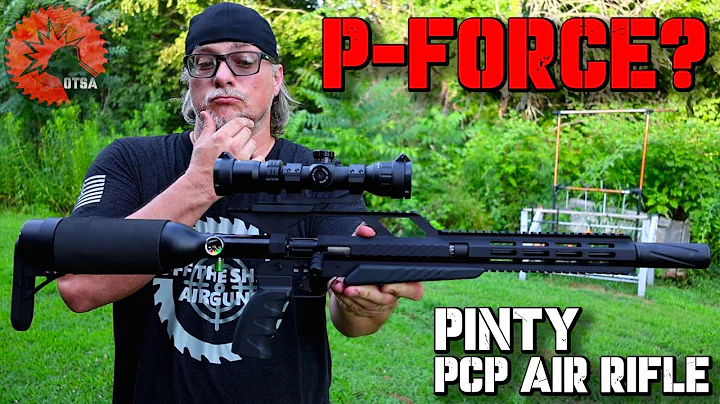 THE P-FORCE? Pinty PCP Air Rifle - Model QL-T11