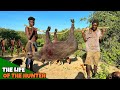 Hadzabe Tribe Successfully Hunt | Our Tradition