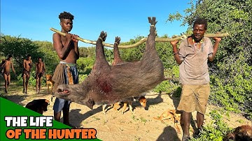 Hadzabe Tribe Successfully Hunt | Our Tradition
