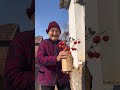 ¿Es bonito el arreglo floral de la abuela? Te lo doy. #Elamordelabuela #Vidaencampo
