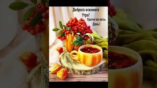 #доброеутро👋#осень золотая🍁#всем хорошего дня и прекрасного настроения 💥💥💥