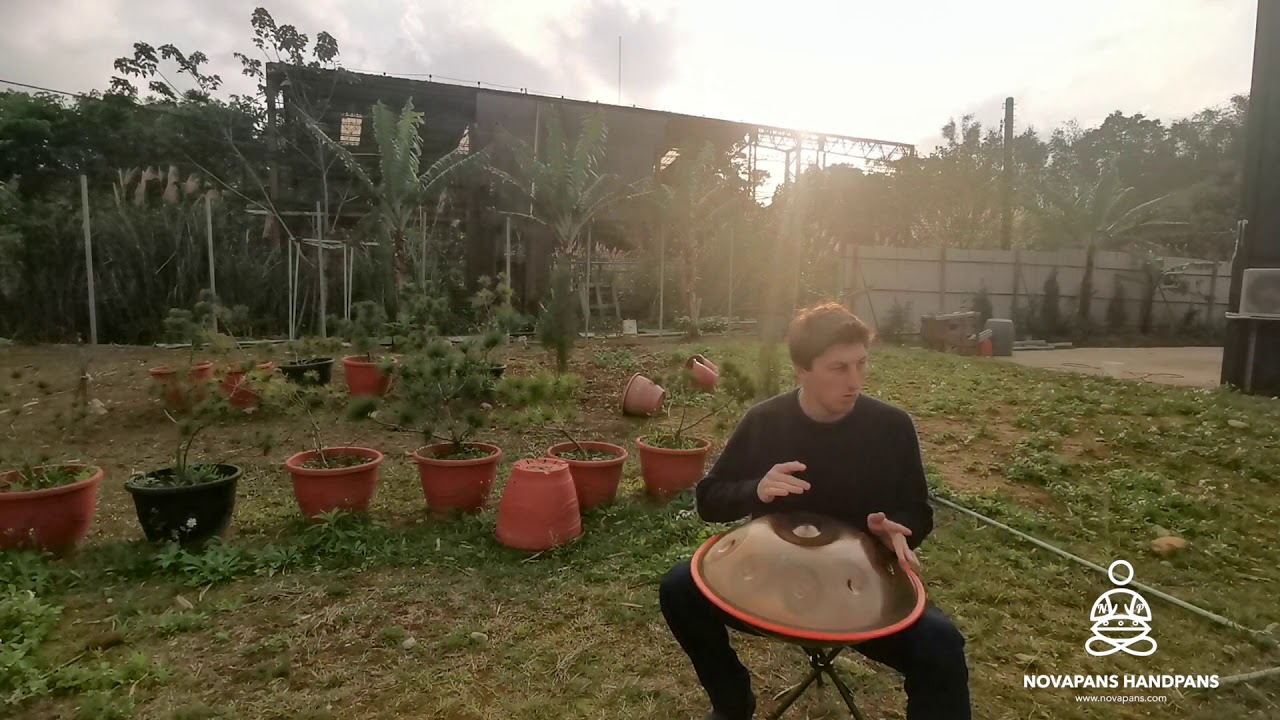 9 Note Handpan in D Kurd Minor in Gold | Generation 7 | NovaPans Handpans