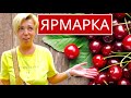 Что продается на ярмарке в Киеве? Цены в Киеве. Влог Киев. Киев. Украина 🇺🇦