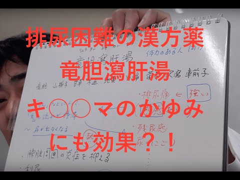 漢方エビデンスナビ・竜胆瀉肝湯について