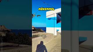 Herkesin Göremeyeceği Ayrıntıyı Fotoğrafçının Farketmesi. Ğraf Şfet