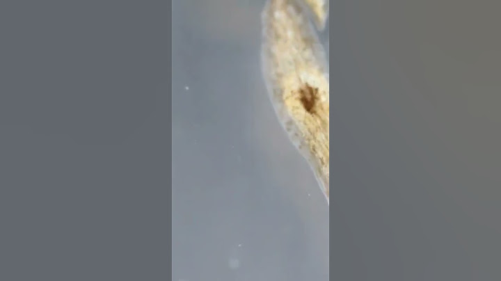 Regeneration and bioelectricity |  current science and technology #research #cellresearch #science