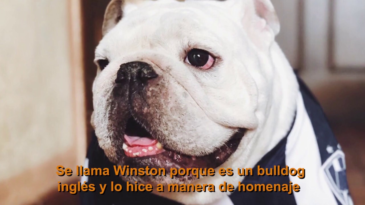 Preguntas rápidas Parte 5, Agustín Basave.