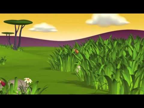 კვერცხისებრი (სერია 7)