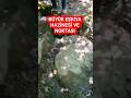 EŞKIYA HAZİNESİ VE HAZİNE NOKTASI