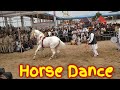 Horse Dance competition
