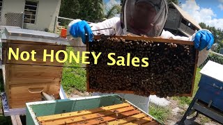 A Different Way to Make Money with Beekeeping