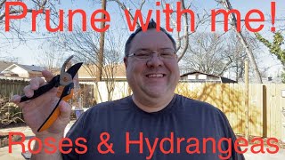 Pruning hydrangeas & roses! by Horticulture Geek 251 views 2 months ago 24 minutes