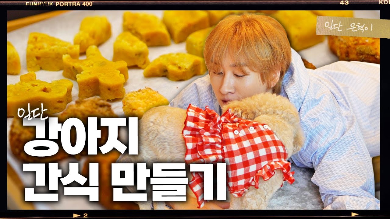 (EN/JP) 똥손도 성공했습니다 (부제 : 갱얼쥐 힐링 영상) | 일단은혁이 | Vlog