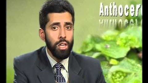 Origin and Evolution of Sporophyte in Bryophytes