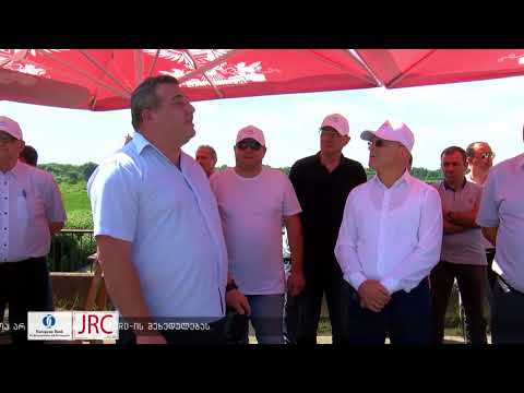 აზიური ფაროსანას საწინააღმდეგო ღონისძიებებს მეცნიერები გაეცნენ