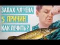 5 причин запаха полового ч*Лена // Что делать