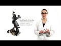 Silla de Ruedas Electrica Bipedestadora Permobil F5 Corpus VS