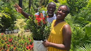 Essentials For Outdoor Home Design! Building In The Gambia! ??