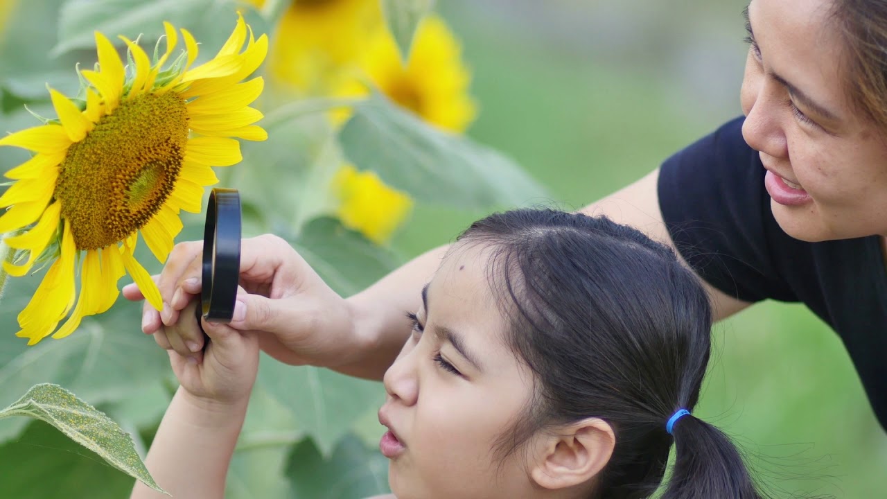 museums in london Everyone, Everywhere