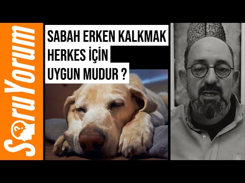 SoruYorum - Sabah Erken Kalkmak Herkes İçin Uygun Mudur ?