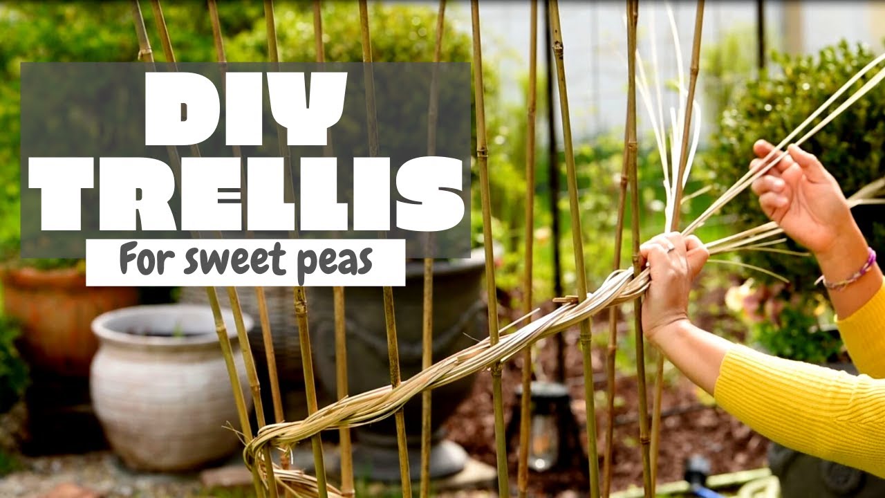 🌾Weaving a Garden Trellis for growing Vines // DIY Gardening YouTube