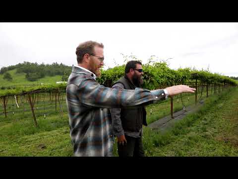 2201 Fort Mckay Rd, Oakland, OR home video tour